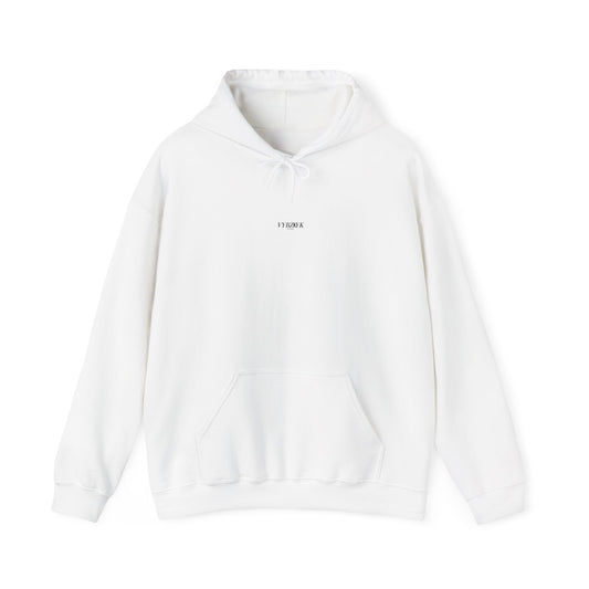 Vybz Heavy Blend™ Hooded Sweatshirt